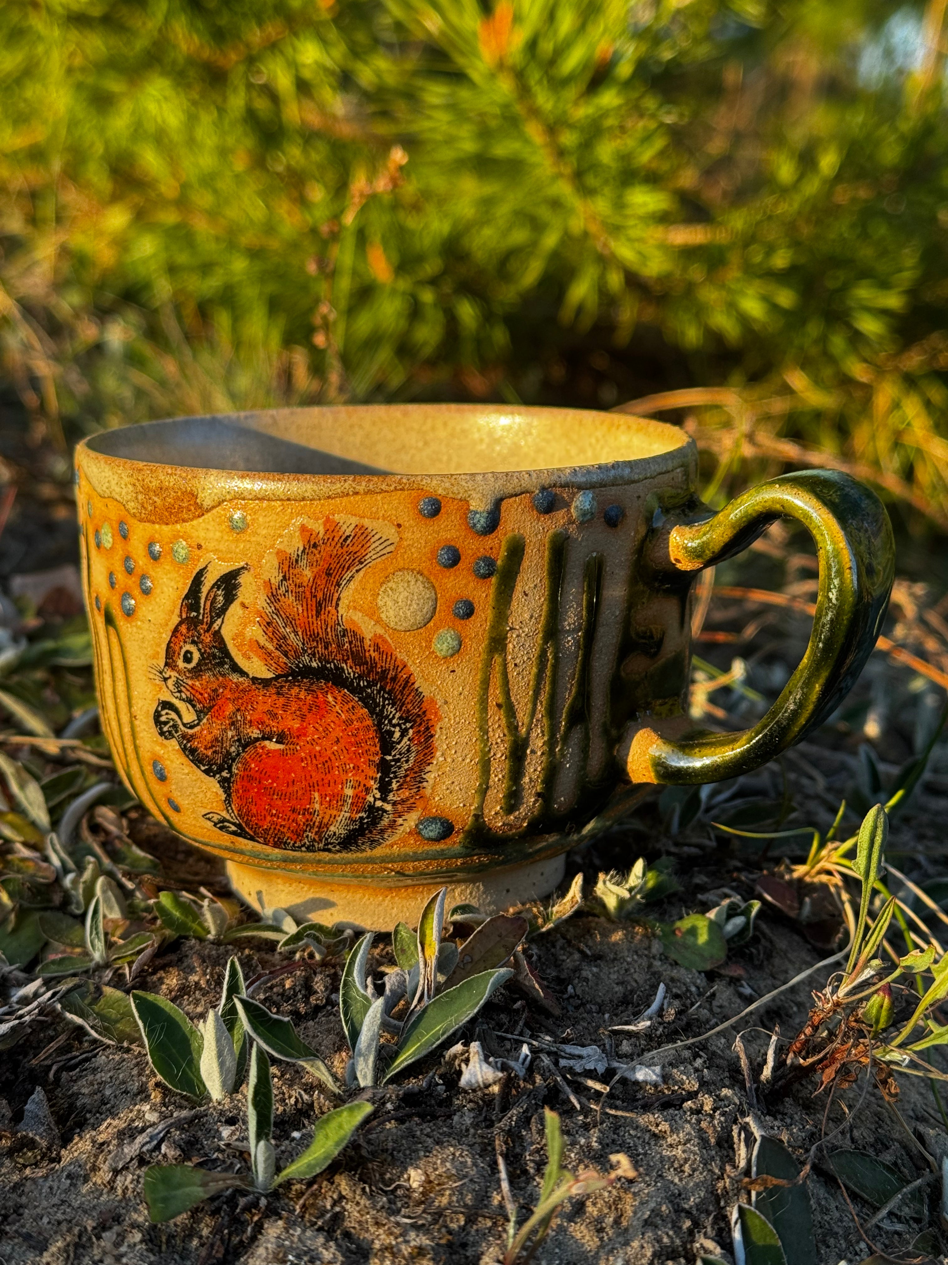Wiewiór