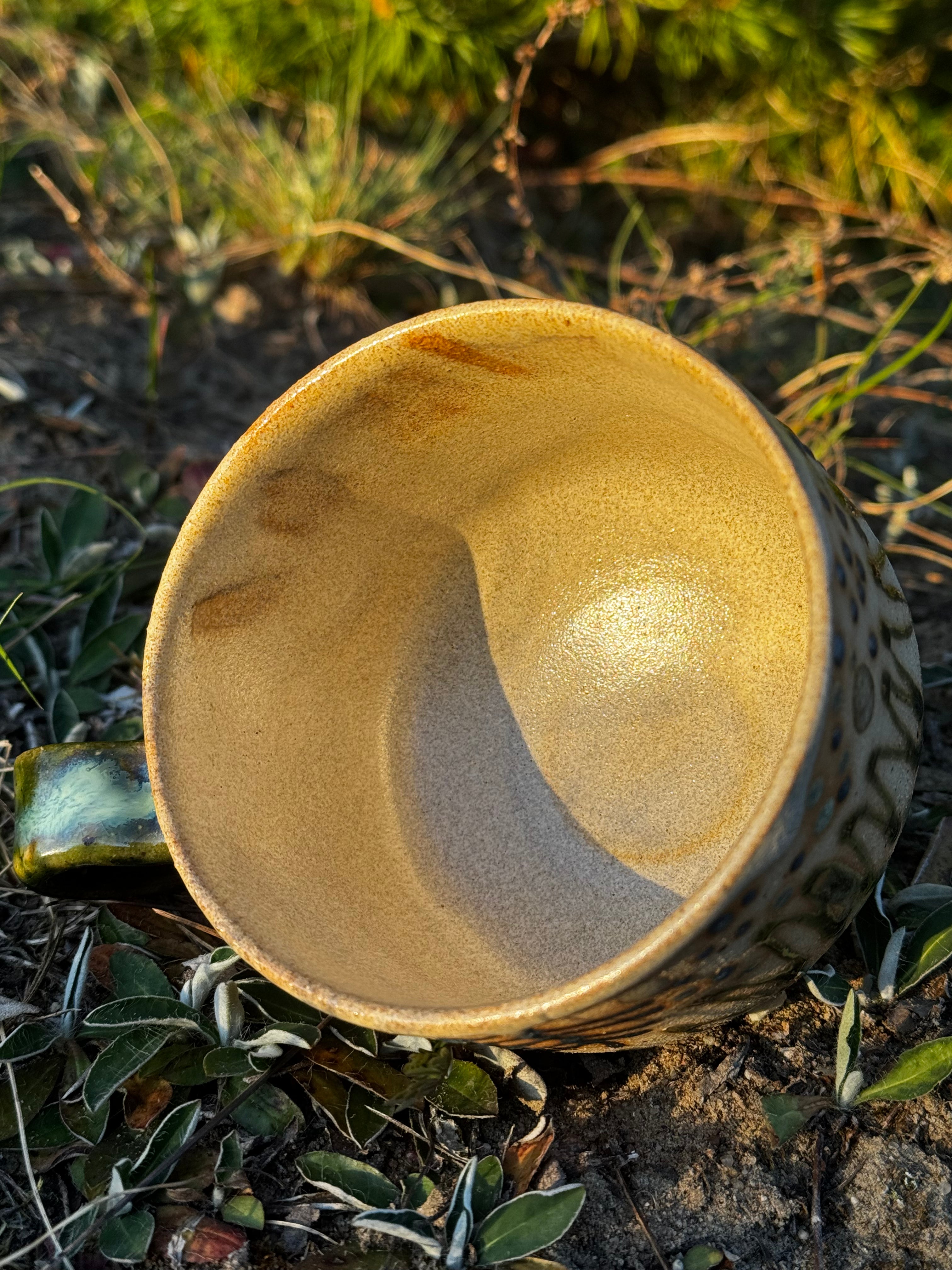 Wiewiór