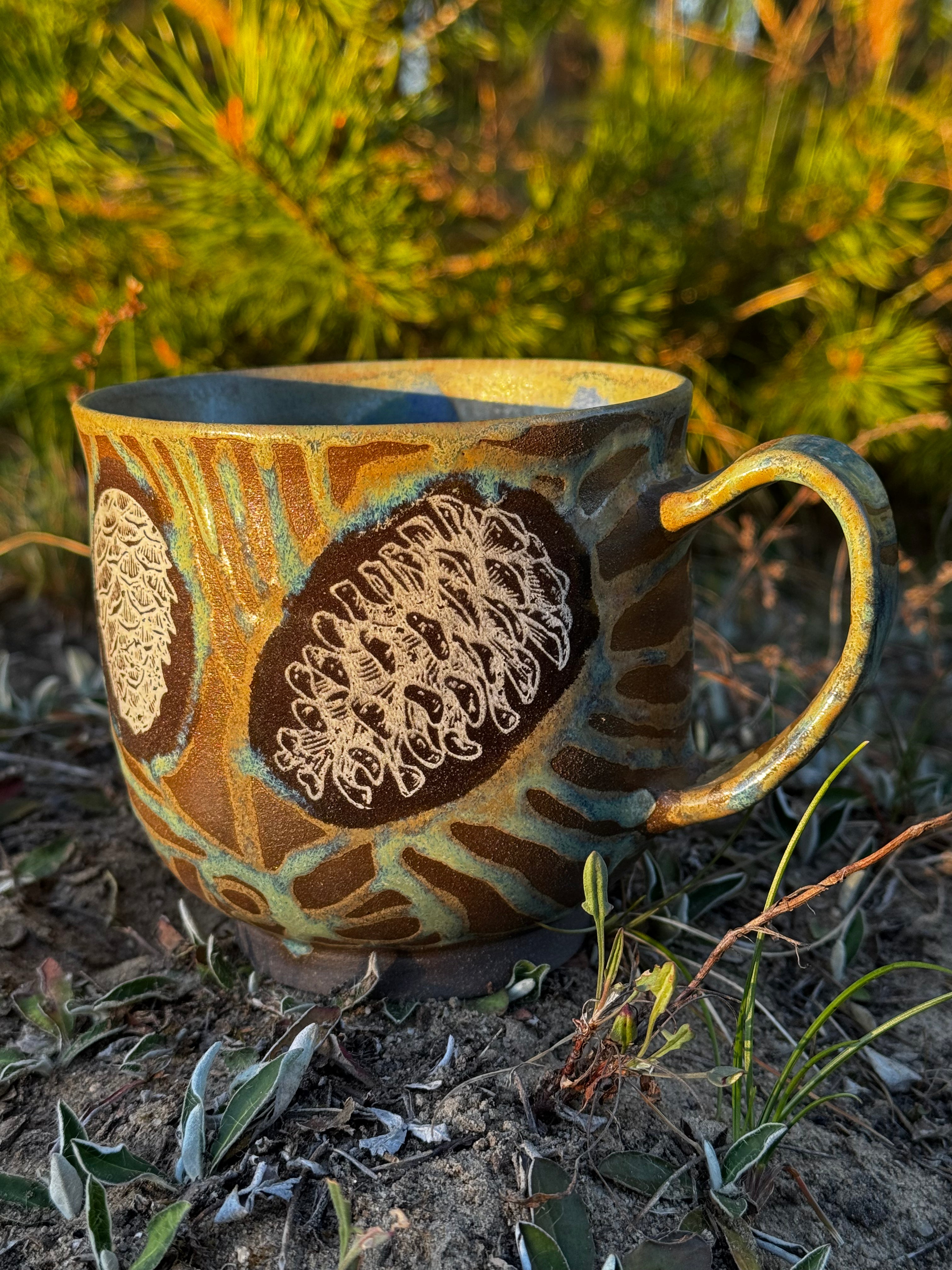 Gruba Szycha