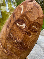 Pokaż Rogi